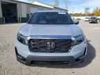 2023 HONDA Passport
