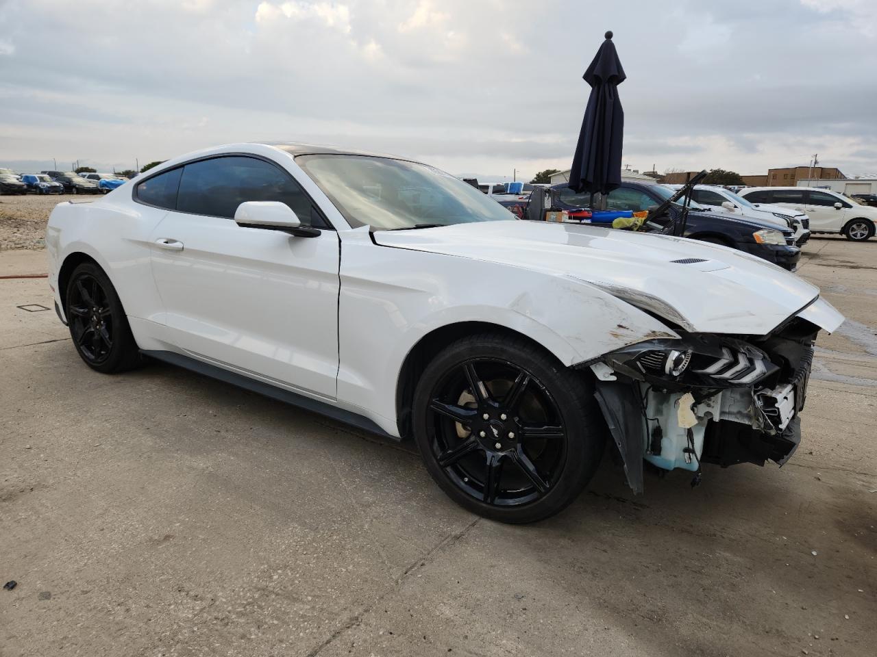 2019 FORD MUSTANG