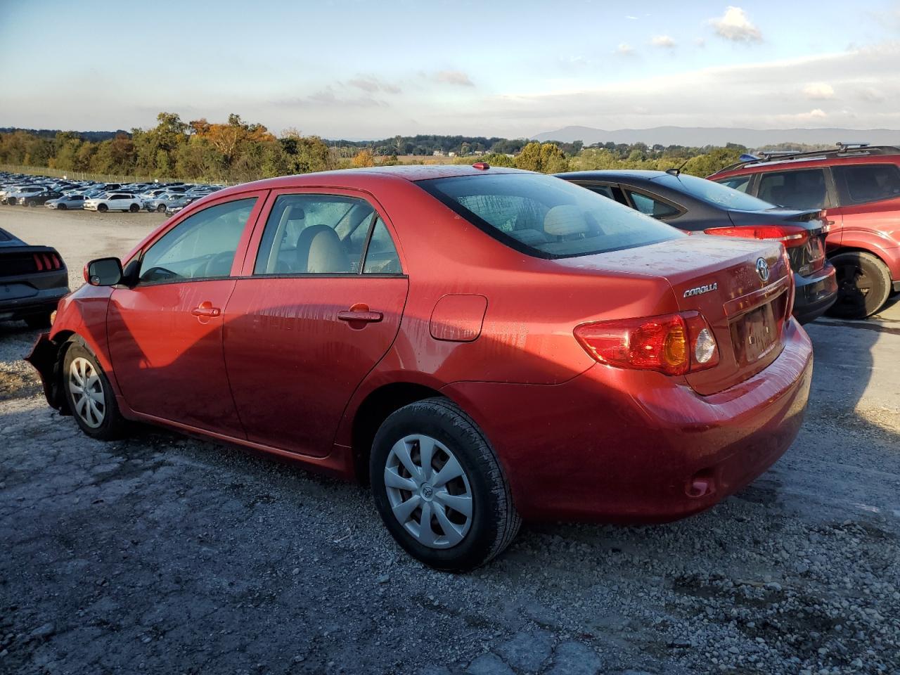 2010 TOYOTA COROLLA
