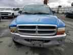 1999 DODGE Dakota