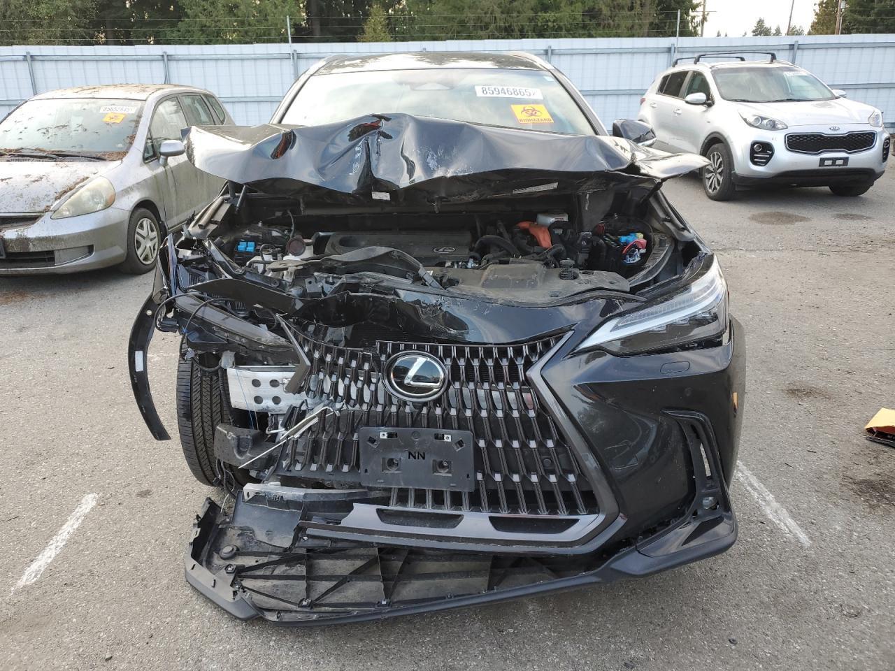 2024 LEXUS Nx