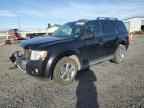 2009 FORD ESCAPE
