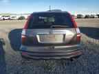 2010 HONDA CR-V