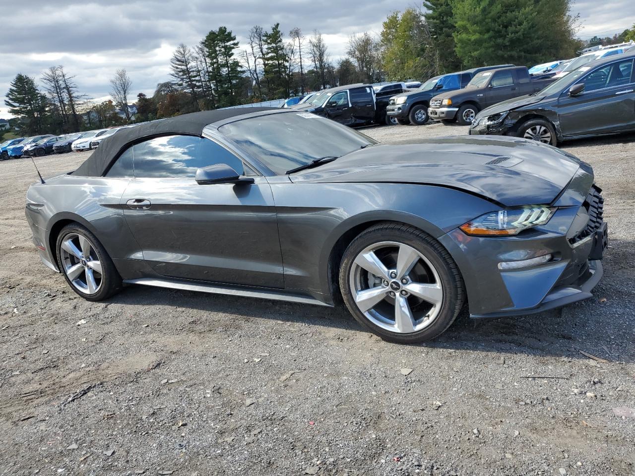 2019 FORD MUSTANG
