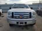 2009 FORD F-150