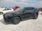 2022 LEXUS Nx