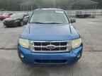 2010 FORD ESCAPE