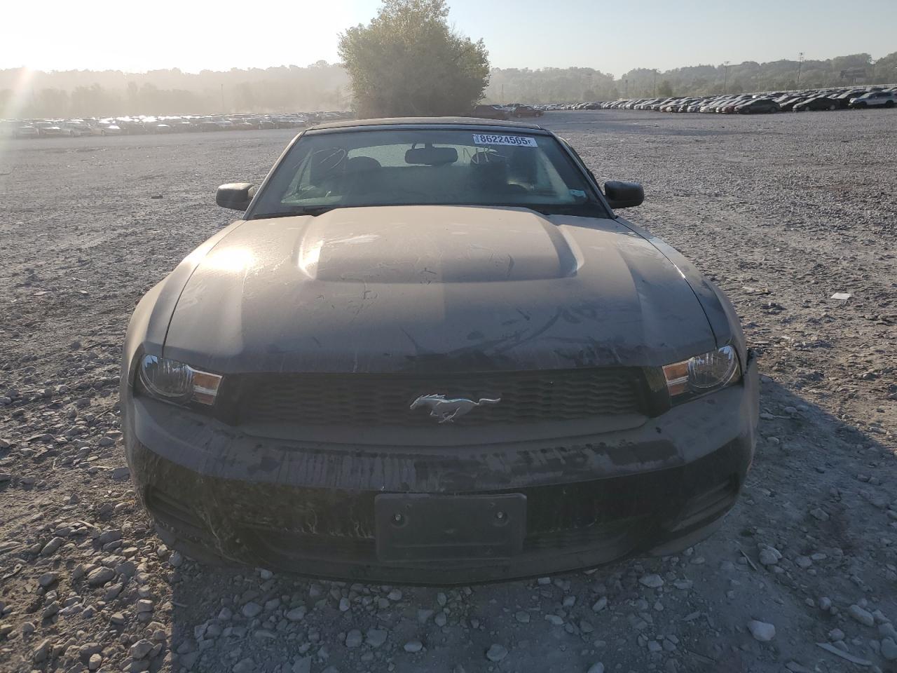 2010 FORD MUSTANG