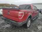 2009 FORD F-150