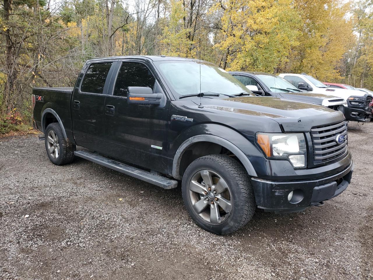 2011 FORD F-150