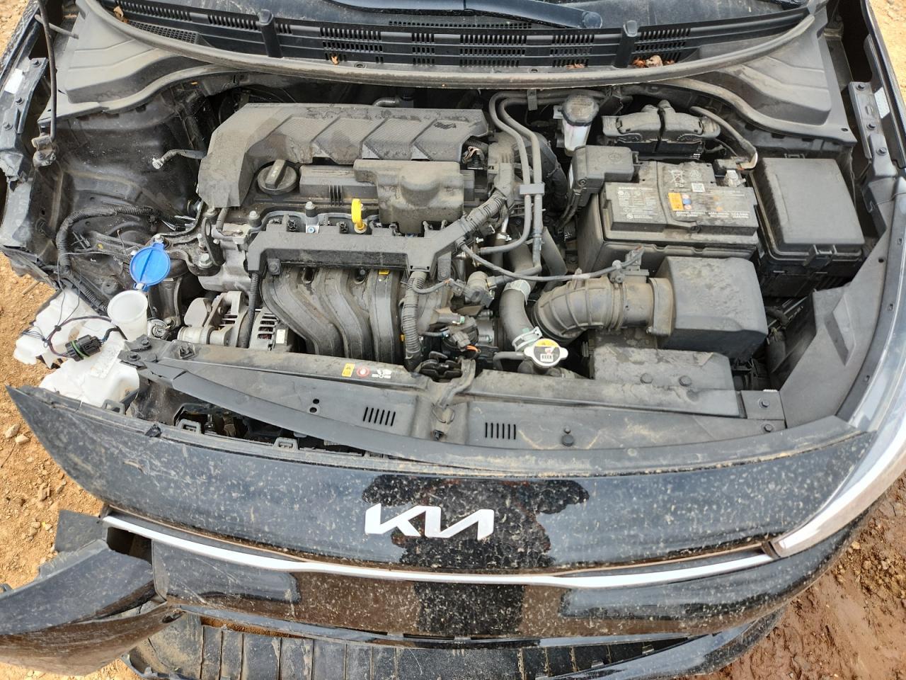 2023 KIA RIO