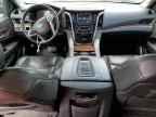 2019 CADILLAC ESCALADE