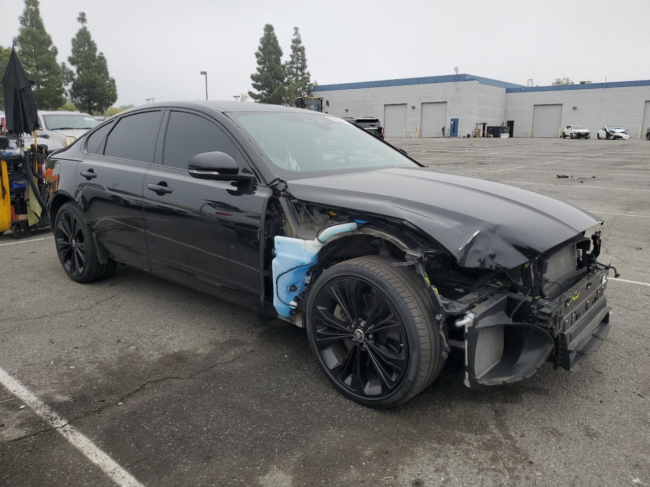 2024 JAGUAR XF