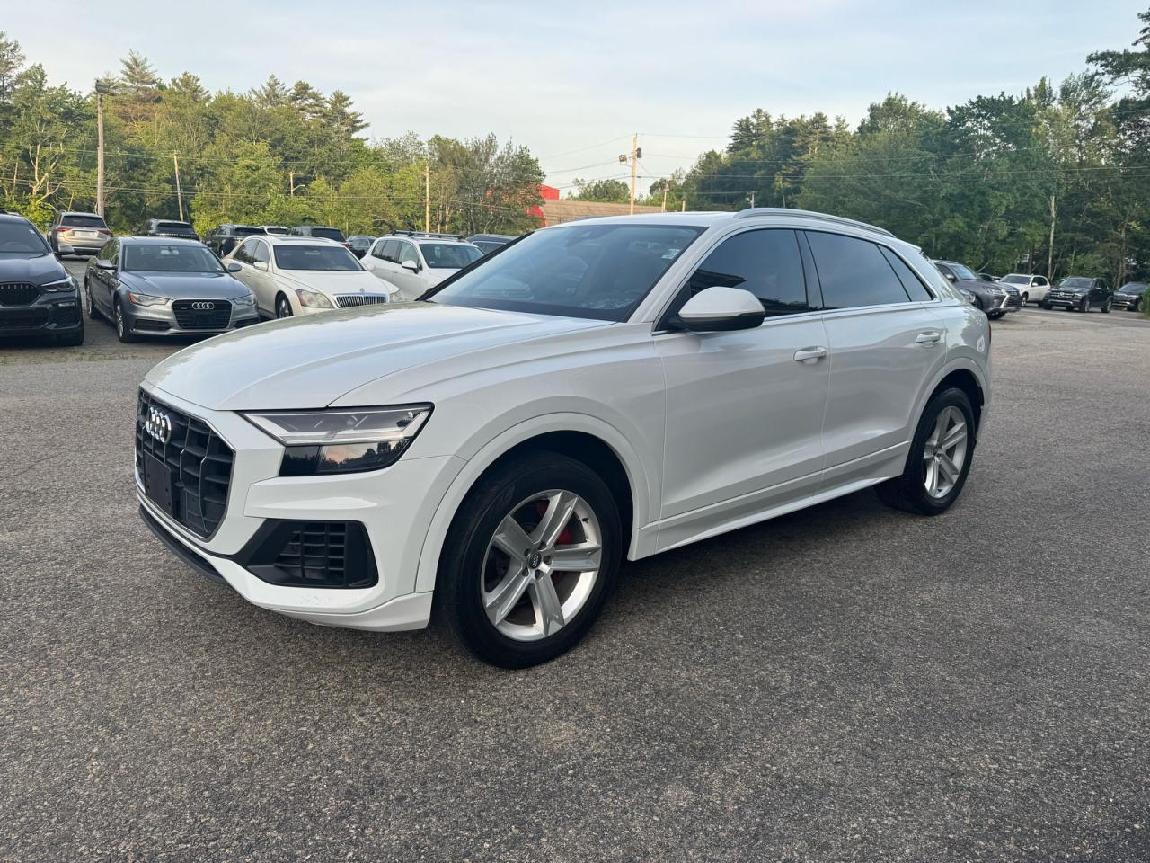 2019 AUDI Q8