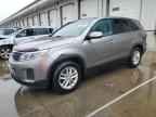 2014 KIA SORENTO