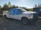 2015 FORD F-250