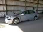 2010 NISSAN ALTIMA
