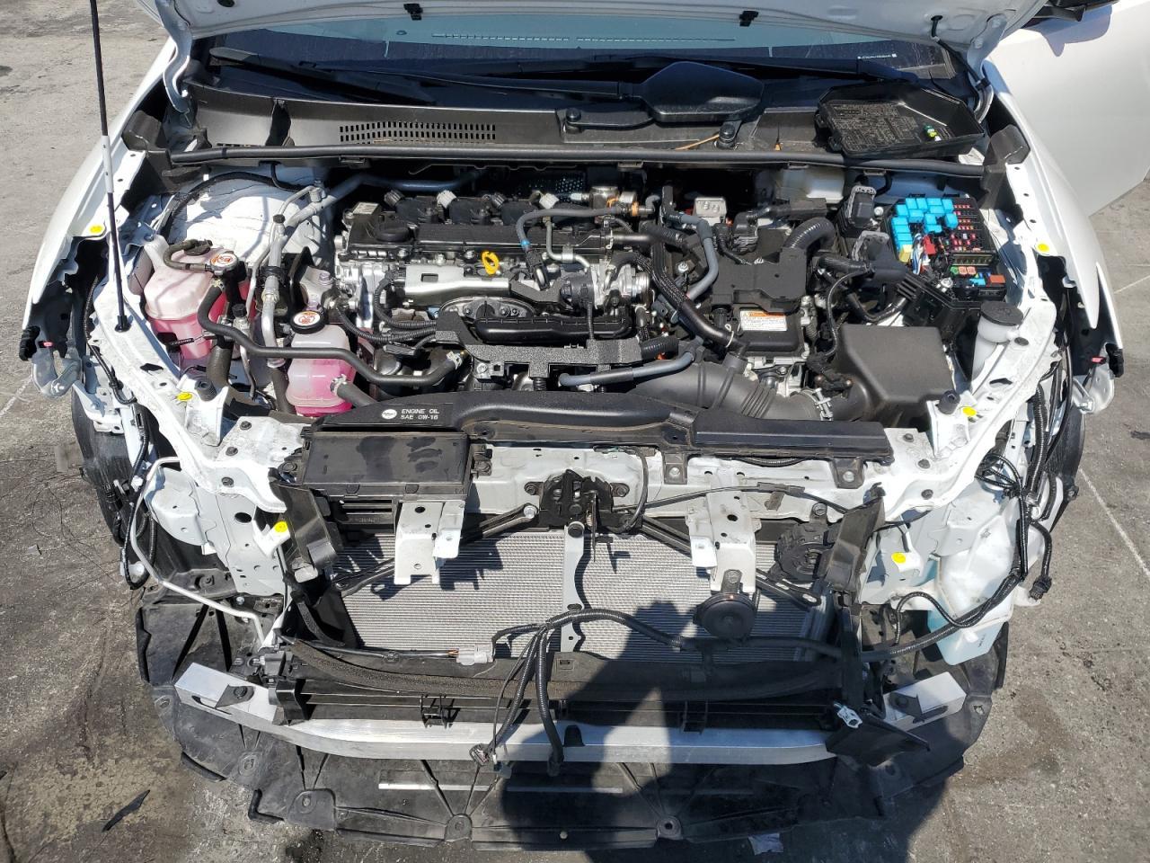 2024 TOYOTA PRIUS