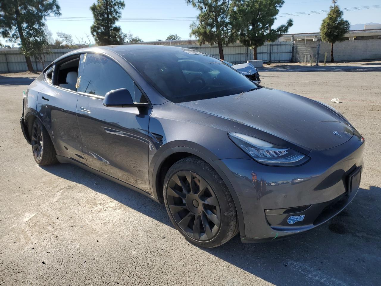 2021 TESLA MODEL Y