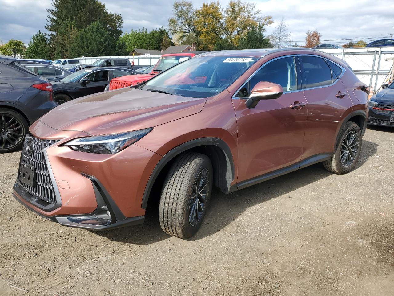 2025 LEXUS Nx
