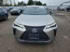 2021 LEXUS Ux