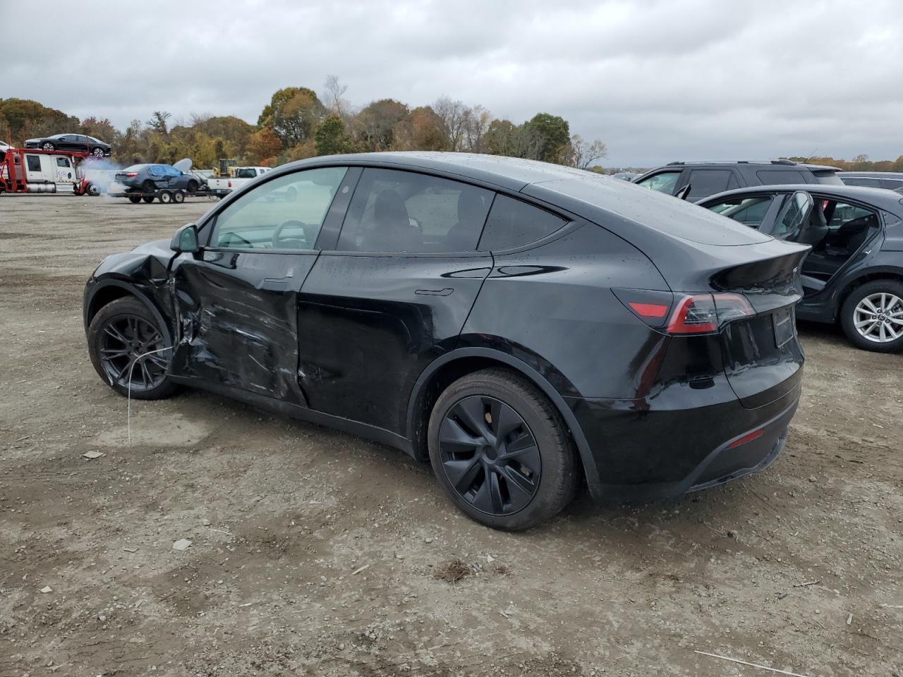 2025 TESLA MODEL Y