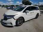 2023 HONDA ODYSSEY