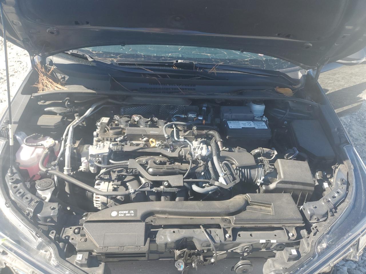 2023 TOYOTA COROLLA