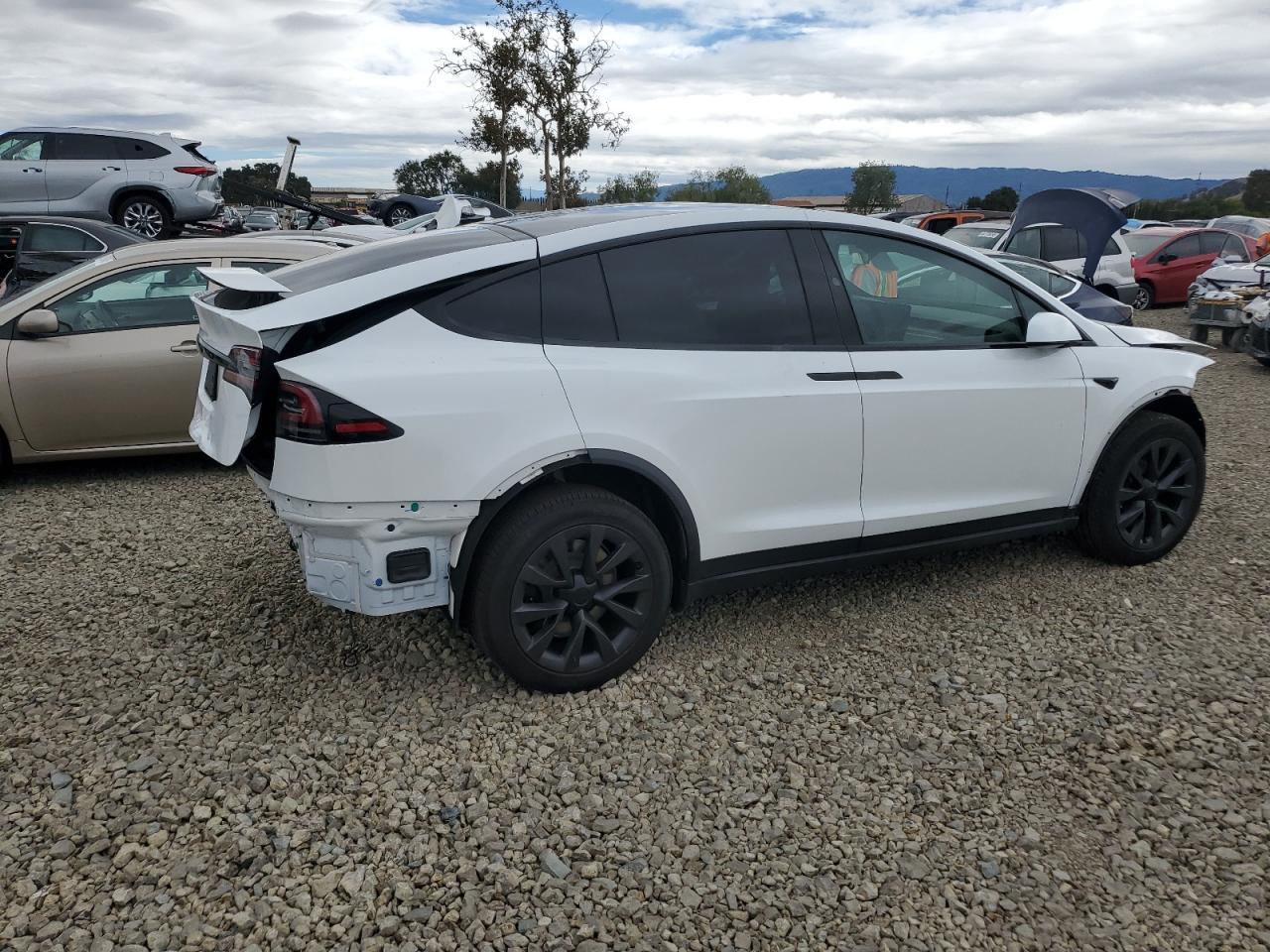 2025 TESLA MODEL X