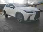 2024 LEXUS NX 250