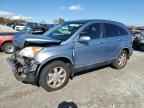 2007 HONDA CR-V