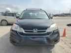 2010 HONDA CR-V
