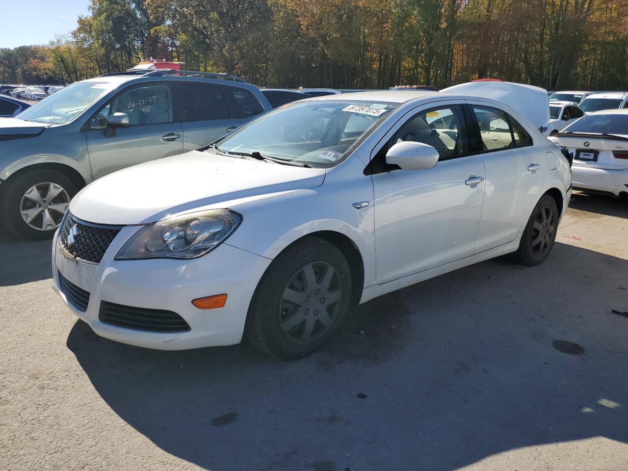 2010 SUZUKI Kizashi