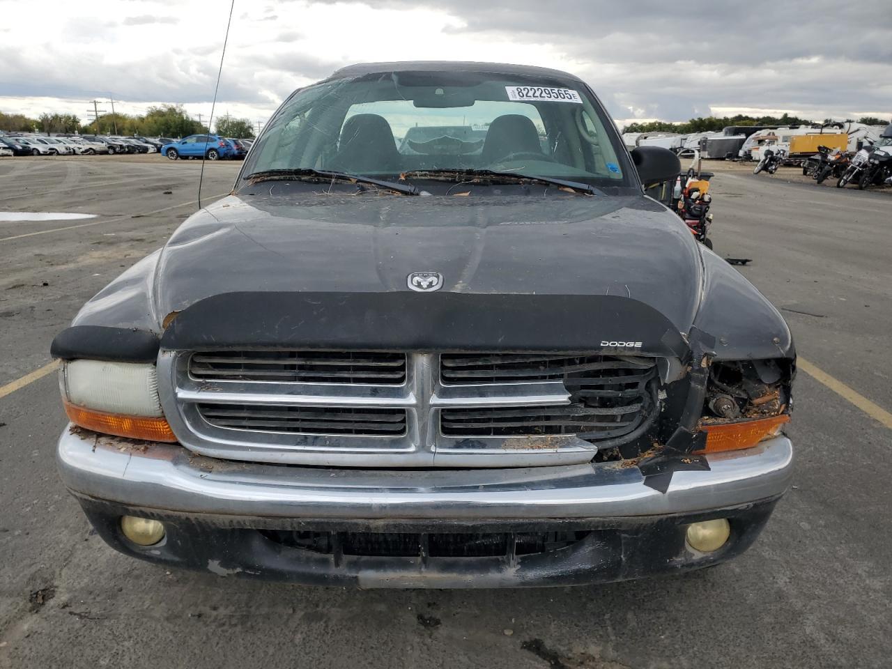 2003 DODGE Dakota