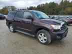 2013 TOYOTA Sequoia