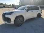 2024 LEXUS LX 600