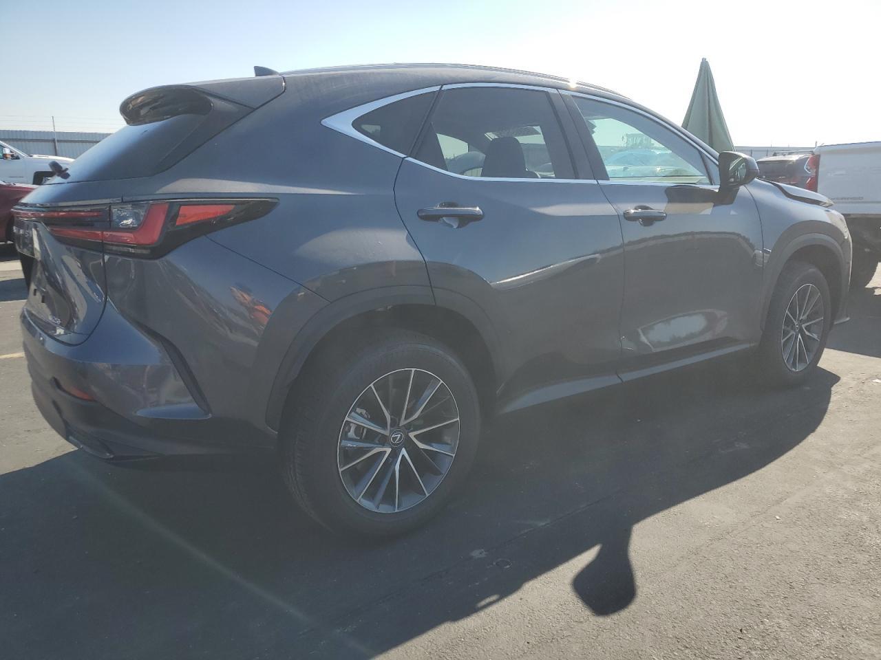 2025 LEXUS NX 250