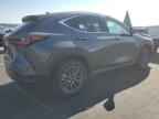 2025 LEXUS NX 250