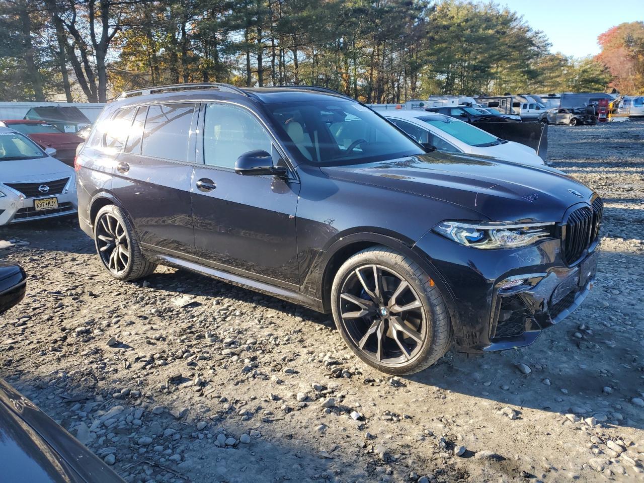 2019 BMW X7
