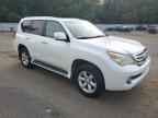 2010 LEXUS Gx