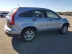 2010 HONDA CR-V