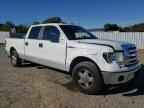 2009 FORD F-150