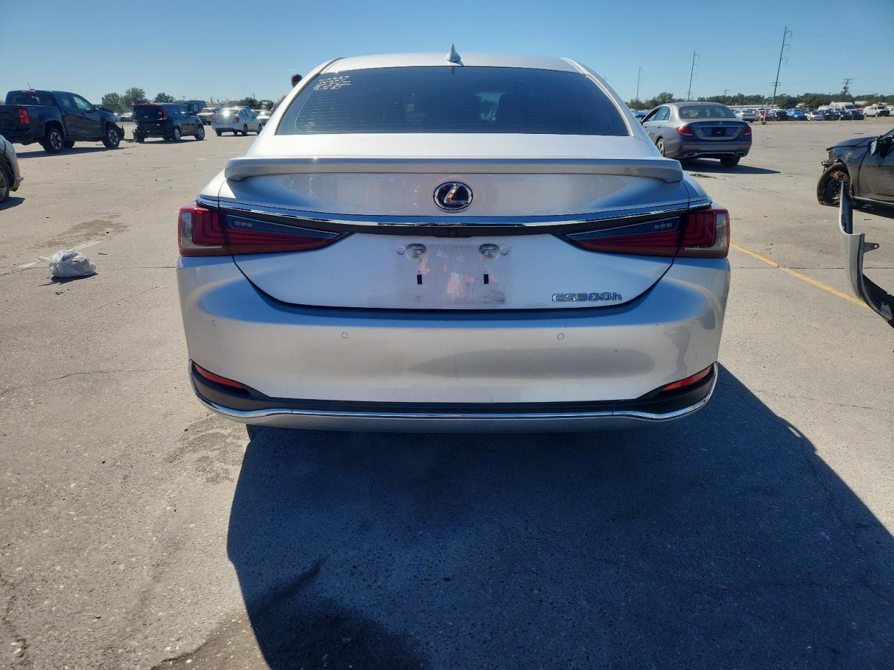 2019 LEXUS ES 300H