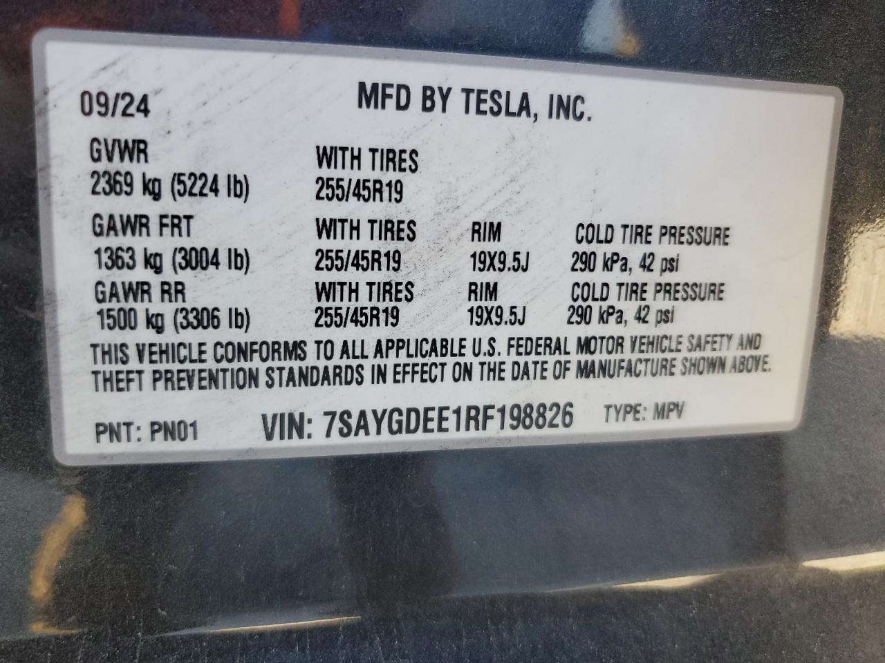 2024 TESLA MODEL Y