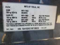 2024 TESLA MODEL Y
