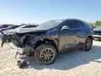 2025 LEXUS Nx