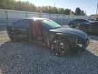 2024 AUDI S5