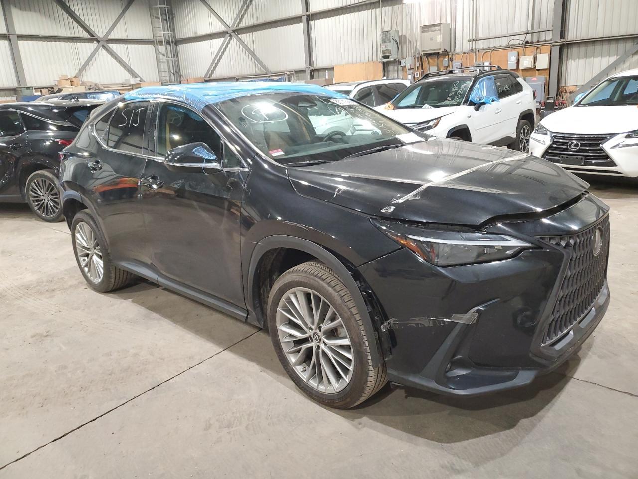 2023 LEXUS Nx