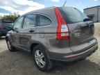 2010 HONDA CR-V
