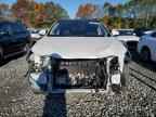 2025 LEXUS Nx